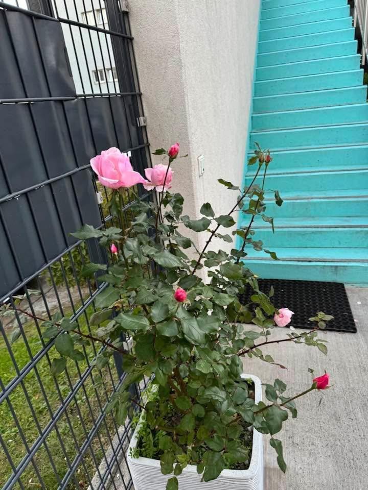 Hotel Koenig Wien Exteriör bild